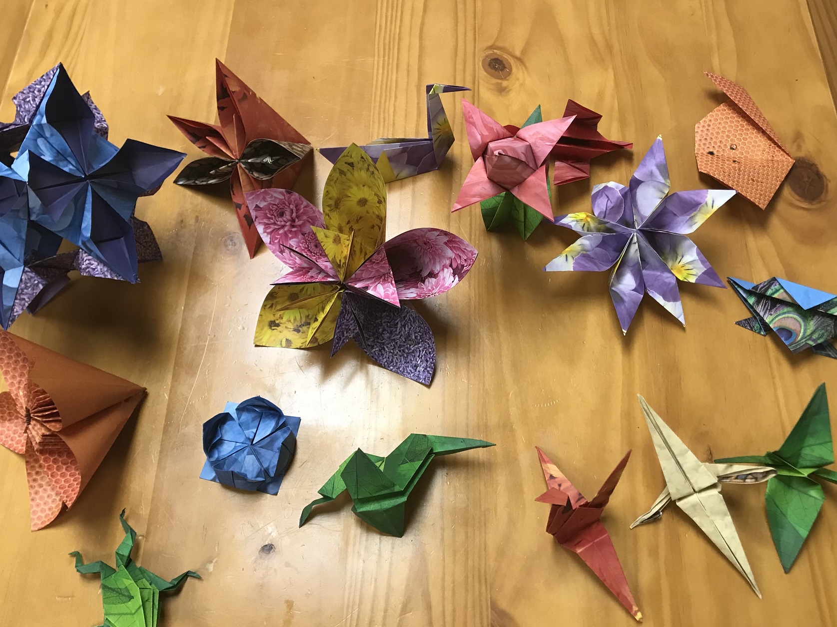 Origami Plants and Animals